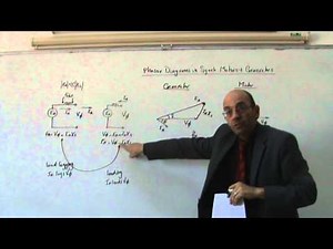 Synchronous Motors, Part V: Phasor Diagrams in Motors and Generators, 19/1/2014