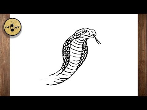 How to draw a cobra head step by step
