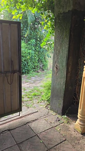 Impact of Recent Floods in Sri Lanka: A Deep Dive