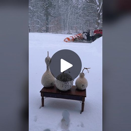 Drying Gourds: A Guide to Preserving and Crafting with Moldy Gourds