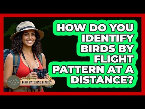 How Do You Identify Birds By Flight Pattern At A Distance? - Bird Watching Diaries