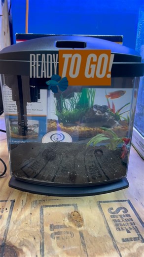 Ready to go – the Aqueon LED MiniBow Kit is now in stock! 🐠✨ This 2.5 gal desktop tank features a clear acrylic vessel, low-profile LED hood, included power filter with SmartClean™️ technology (water changes in