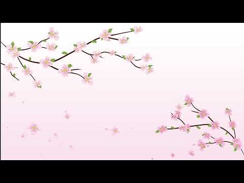 Free animated Cherry Blossom Sakura Petals falling flowers and leaves with pink background