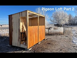 Pigeon Loft Build Part 2