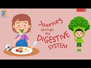 The Digestive System | Educational Videos for kids