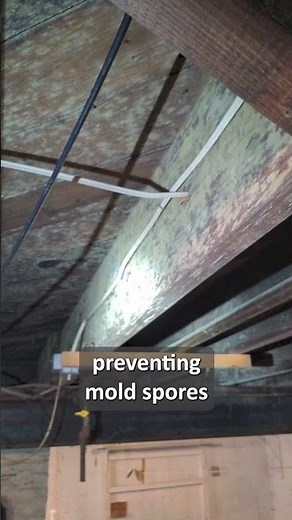 How to Contain Mold Spores & Stop Them From Spreading