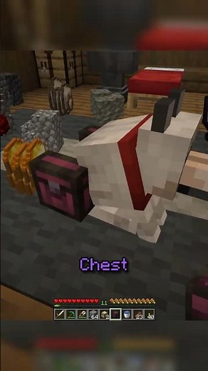 Your beloved PETS need this utility mod! #minecraftjava