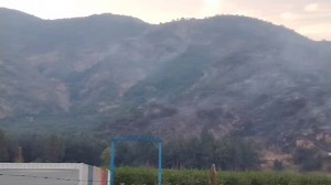 9K views · 141 reactions | #AHORA #ELTAMBO Incendio forestal sector el Tambo se encontraría Controlado en estos momentos equipos de emergencia continúan en el lugar.  Bomberos de O'Higgins. | Radio Pasión FM | Facebook