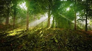 Aliens Uncovered: Borrowed Time | movie | 2023 | Official Trailer