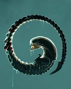 3.6K views · 273 reactions | This Alien embryo animated artwork is by Noah Miller, director of the Alien 40th Anniversary short film ‘Alien: Alone.’ Reposted with permission. #alien #xenomorph #xenomorphxx121 #aliens #aliens35thanniversary #alienday #fanart #chestburster #creatureart | Alien vs. Predator Galaxy | Facebook