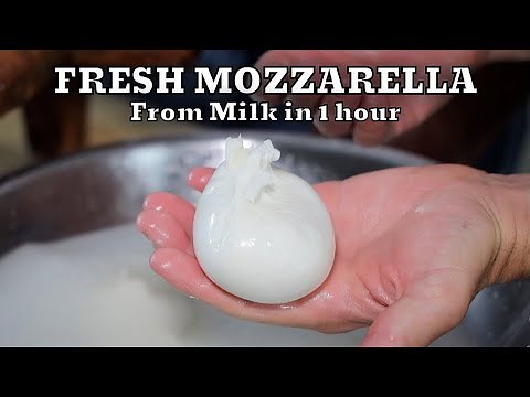 HOW TO MAKE FRESH MOZZARELLA REAL FROM SCRATCH | At Home Very Easy