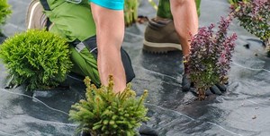 Does Landscape Fabric Let Water Through?