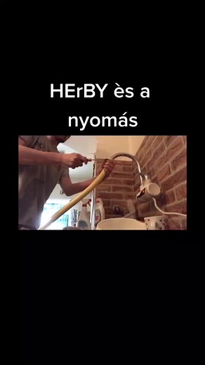 Fixing a Kitchen Faucet: A Fun Home DIY Project