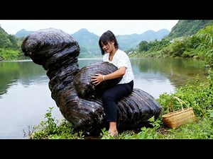 This deformed river clam was pried open and the girl obtained a stunning and peculiar pearl