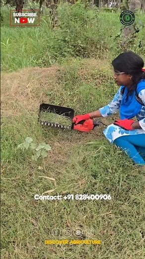 Amazing Grass Harvesting Electric Hedge Trimmer Machine