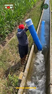224K views · 220 reactions | Flood irrigation, often utilizing a...