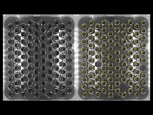 Deep Learning Machine Vision counting products