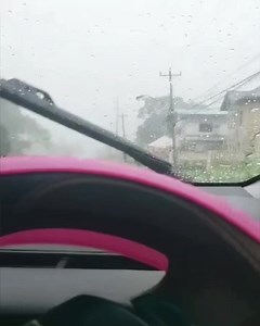 6.9K views · 76 reactions | 8:25 AM - Fallen tree on the S.S. Erin Road, Palo Seco in the vicinity of the Palo Seco Credit Union. https://ttweathercenter.com/2023/07/03/tropical-wave-19-forecast-to-bring-showers-thunderstorms-over-next-24-hours/ | Trinidad and Tobago Weather Center | Facebook