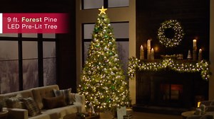Home Accents Holiday 9 ft. Forest Pine LED Pre-Lit Artificial Christmas Tree T17 24HD24006