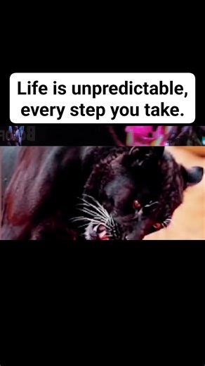 2.6M views · 24K reactions | A reticulated python of 6 meters and a young leopard of 1.5 meters. The end is obvious.沈 #leopard #wildlife #leopardprint #nature #animals #wildlifephotography #bigcats | Nsibidi | Facebook