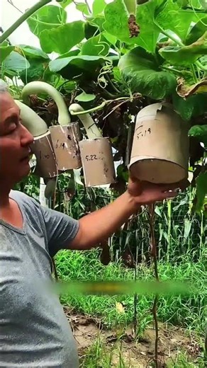 Turning Gourds Into High-Value Art! 💡🎨💰