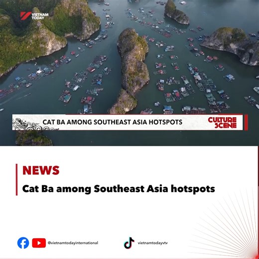 Cat Ba Island has been named one of Southeast Asia’s eight most stunning islands by National Geographic Traveller (USA). Described as “a paradise for climbing enthusiasts”, the island is especially loved for its Butterfly Valley. #CatBaisland #tourism #SoutheasAsia #NationalGeography #VietnamToday | Vietnam Today