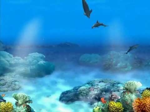 Living 3D Dolphin Screensaver