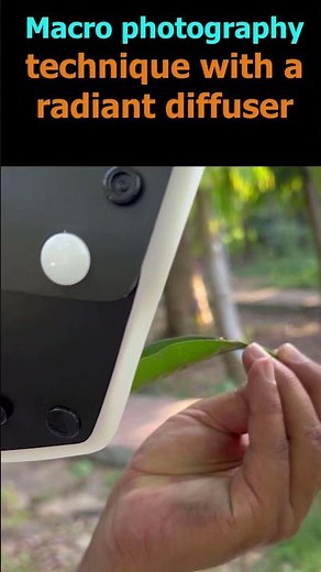 Macro photography technique with a radiant diffuser #shorts