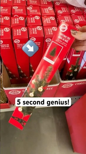 This EASY Dollar Tree Hack Looks EXPENSIVE 🎄✨ Ralph Lauren on a DIME!