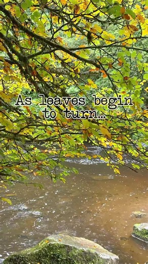 Autumn isn’t just a season… it’s a feeling 🍁🍂🧡#autumn #change #inspiration #fyp