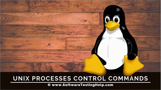 Unix Processes Control Commands Like Ps and Top (Part C)