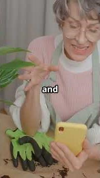 Discover the healing power of Ulmus Rubra, commonly known as Slippery Elm! 🌿