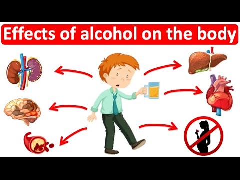 What are the effects of alcohol on the body? 🍺 | Easy Science lesson