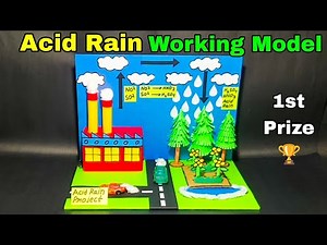 Acid Rain science project working model,School project