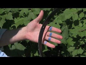 How to play the djembe: the bass and the tone