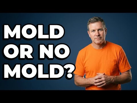 Does Leaving Wet Laundry Cause Mold In Front-Load Washers?