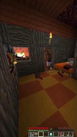 multiplayer the broken script is crazy #minecraft #gaming #funny