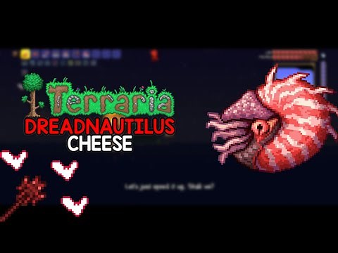 How To Cheese MASTER MODE Dreadnautilus In Terraria!!