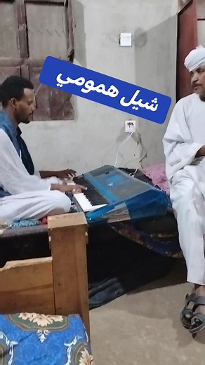 Exploring Arabic Music with Electronic Keyboard Performance