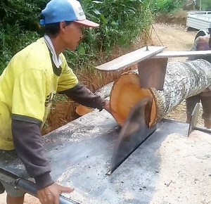 266K views · 942 reactions | So brave with the best talent skill cutting wood | Making Video | Facebook