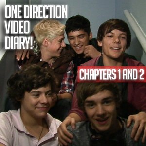 1.1M views · 50K reactions | To celebrate #10YearsOf1D we've delved deep into the archive to find One Direction's X Factor diary from all the way back in 2010! These diaries were filmed 10 years ago so, you know, please do not vote. | The X Factor | Facebook