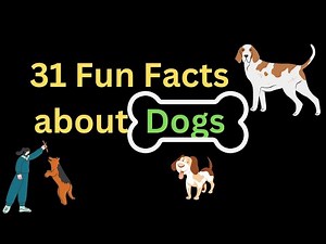 31 Fun Facts About Dogs | Fascinating Facts About Dogs