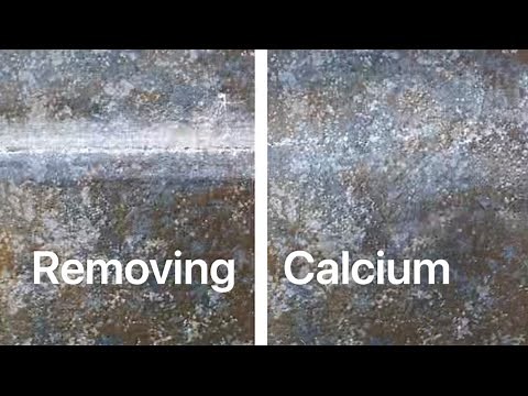 Remove Calcium from Pool Tiles (BEST WAY!)