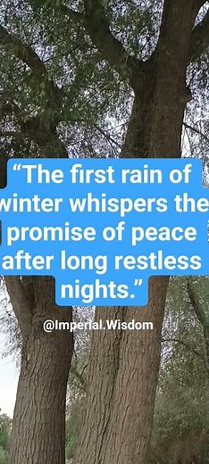 The First Rain of Winter | A Whisper of Peace and Calm After Restless Nights
