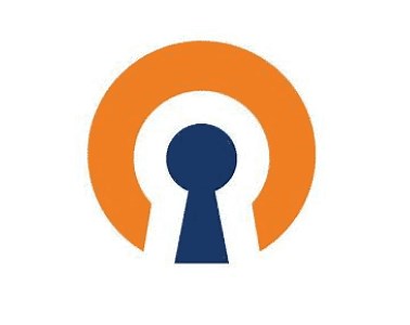 Configure OpenVPN Clients to use specific DNS Server - kifarunix.com