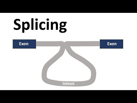 Splicing