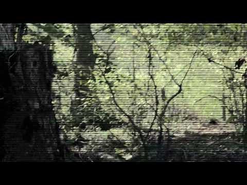 Alien Abduction Official Trailer (2014)