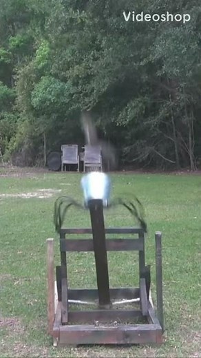 Squirrel Launching / Squirrel Catapult / Squirrel Launcher #shorts