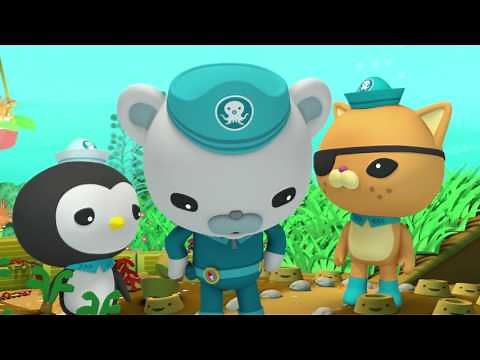 Octonauts and the Marine Iguanas - Full Episode