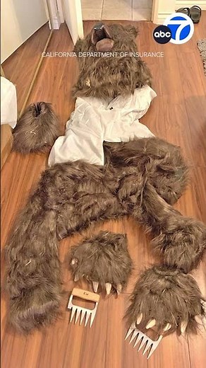Suspects allegedly used bear suit in insurance fraud scheme: officials